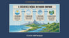 Le infografiche della lezione visiva che si sfogliano
